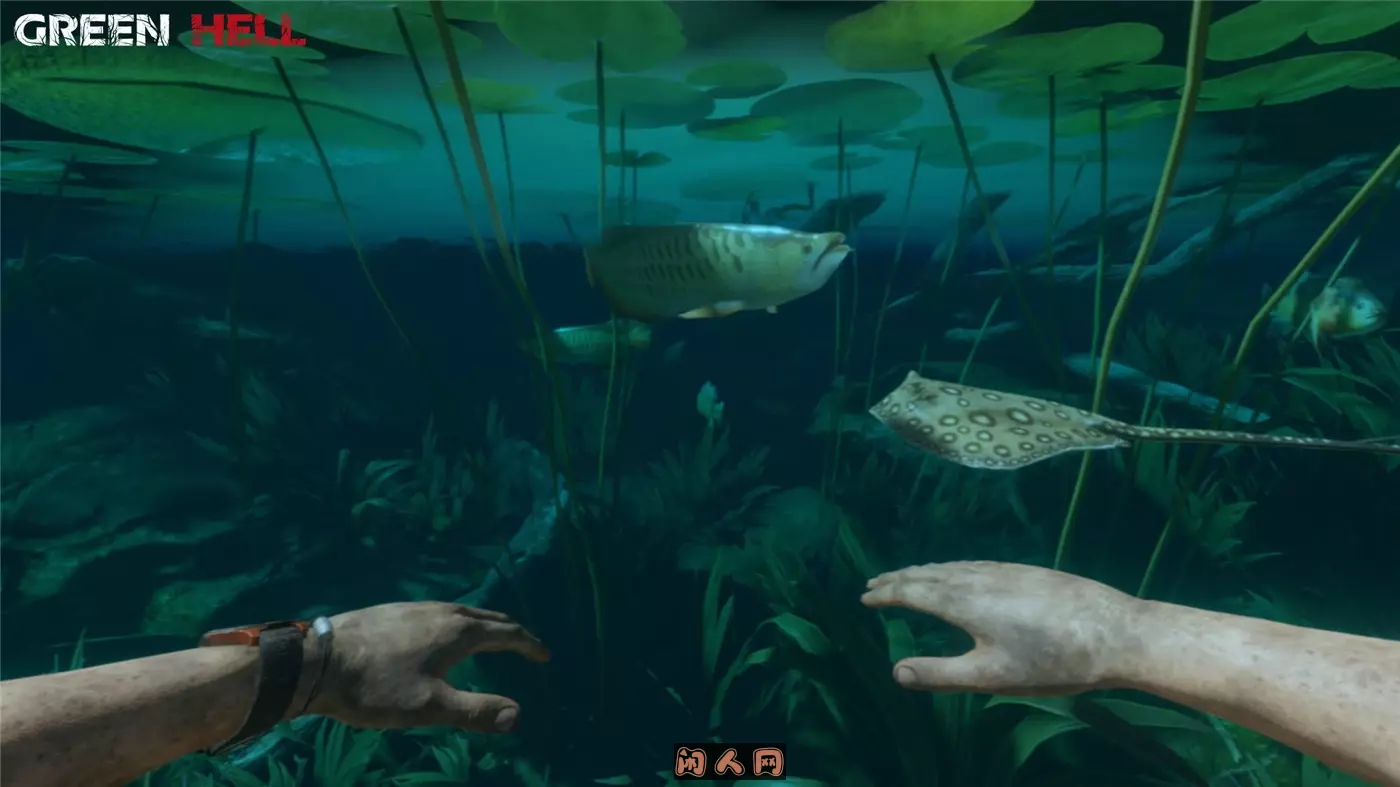 绿色地狱Green Hell v2.6.2官方简体中文支持键盘.鼠标.手柄|赠多项修改器7.6GB 主机游戏 第5张