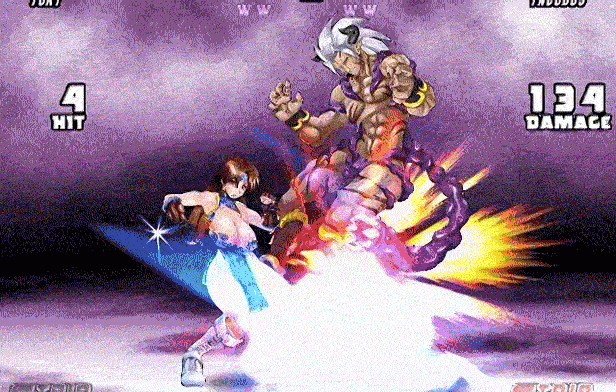 [日式FTG/动态]战士5:黑暗武斗会Strip Fighter 5 CE V1.2hotfix STEAM官中版豪华完整版+DLC 900M ACG电脑端 第1张