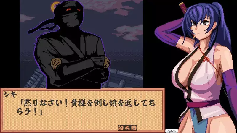 [桌游SLG/像素]前进吧！特搜隐秘女忍者机翻版800M ACG电脑端 第1张