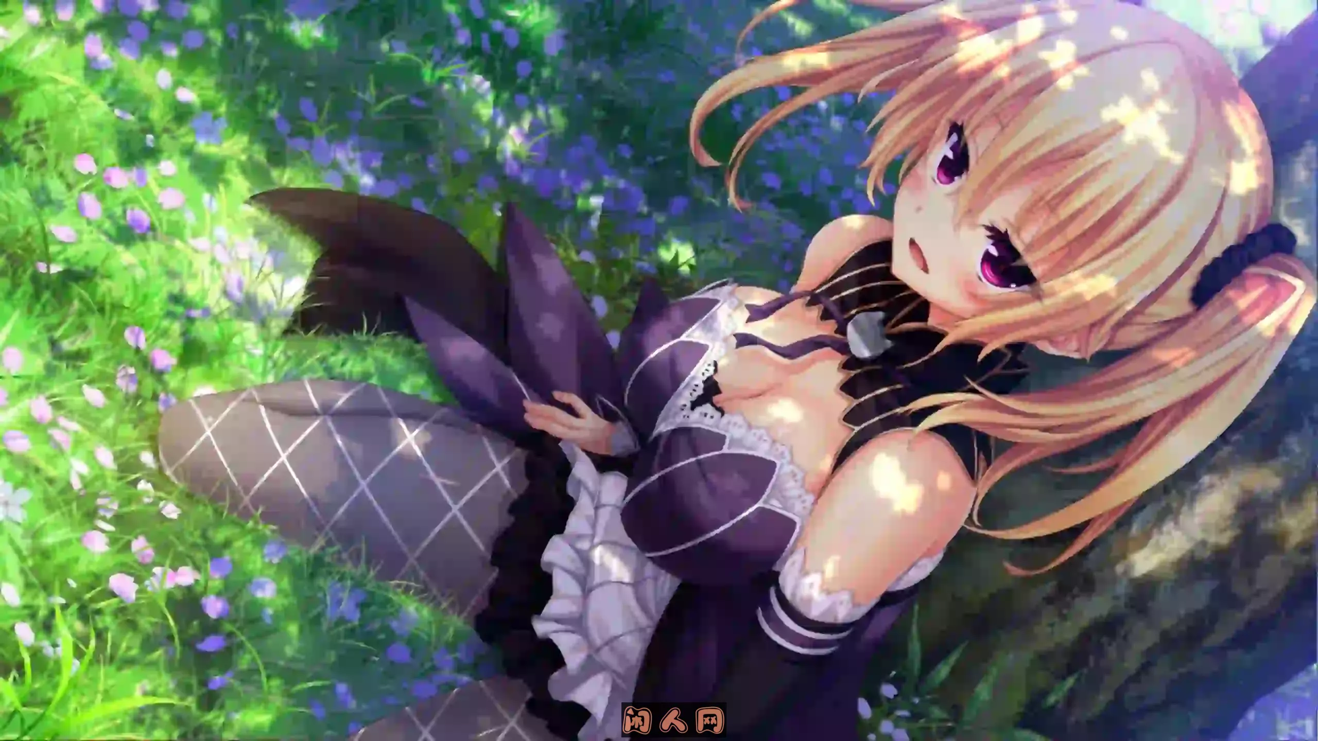 [ADV游戏]野良与皇女与流浪猫之心1+2+VFB汉化版12GB ACG电脑端 第4张