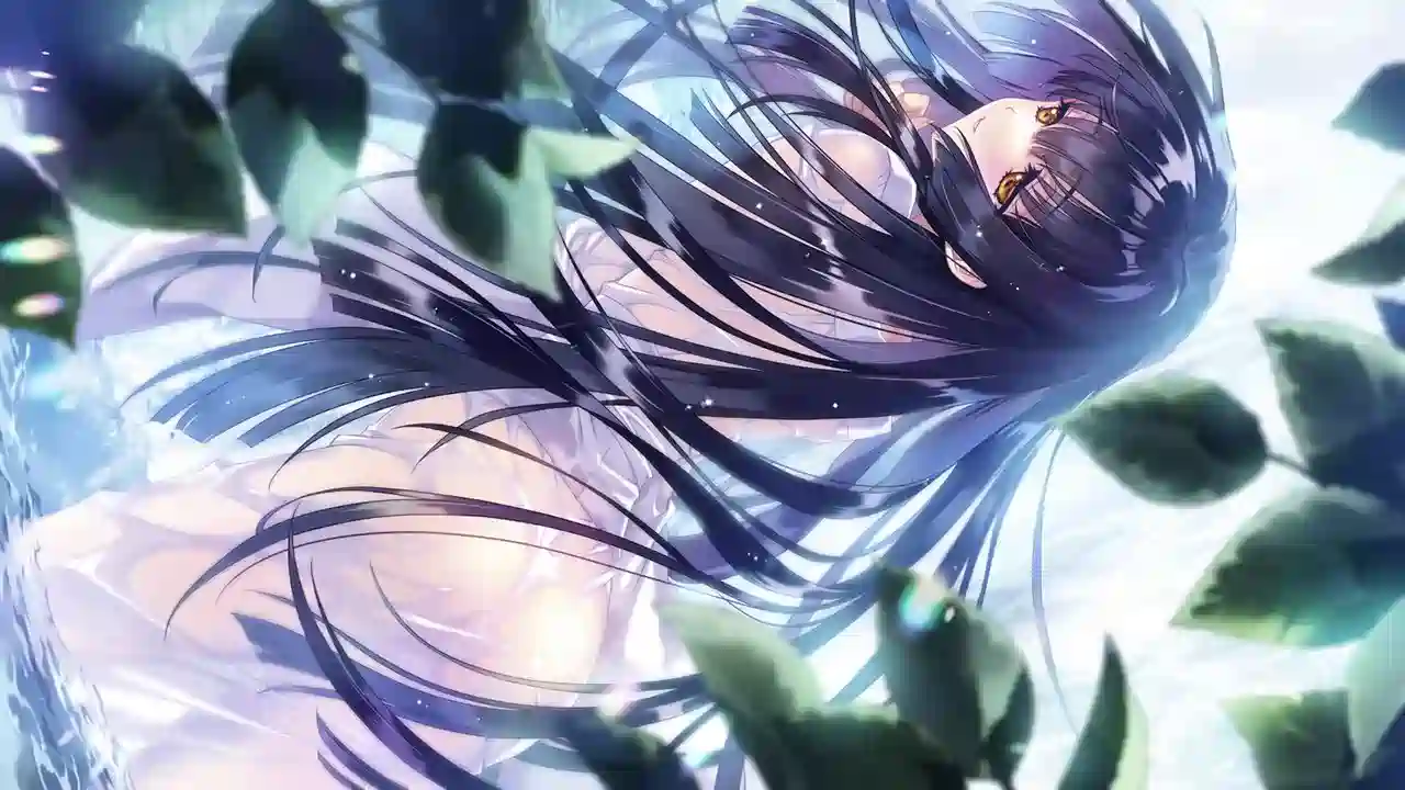 [精品ADV]无颜之月-待宵双椿-AI汉化版+全回想存档4.10G ACG电脑端 第6张